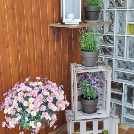 Wuenschel Stube Apartment *