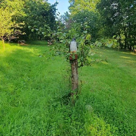 アパート Wuenschel Stube *