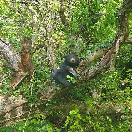 Daire Wuenschel Stube *