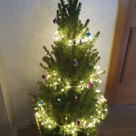 Wuenschel Stube *