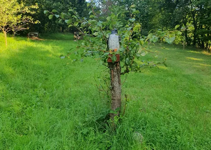 Apartament Wuenschel Stube *