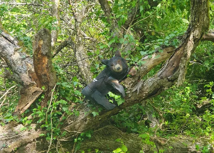 Apartament Wuenschel Stube *